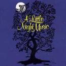 Little Night Music, A [Remaster]