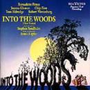 Into The Woods